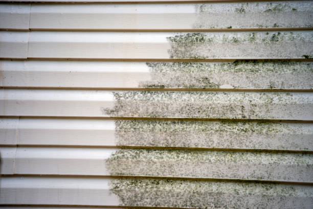 Best Wood Siding Installation  in South Pasadena, CA