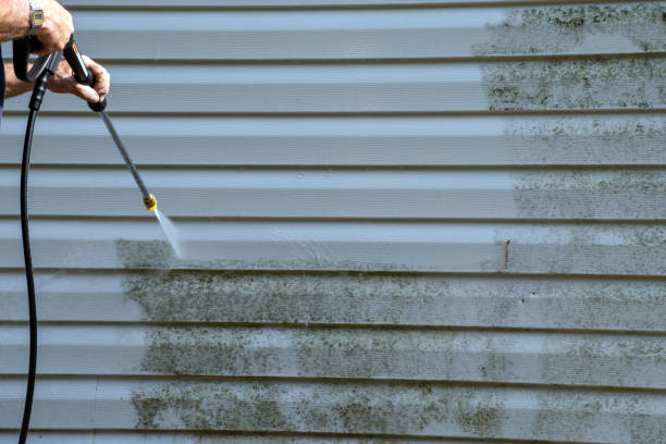 Reliable South Pasadena, CA Siding Installation & Repair Solutions