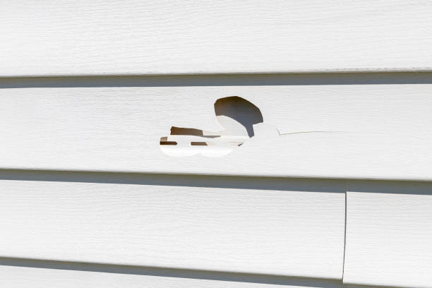 Best Custom Trim and Detailing for Siding  in South Pasadena, CA