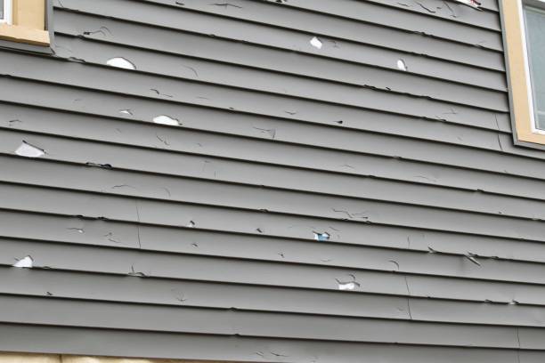 Affordable siding repair and maintenance services in South Pasadena, CA